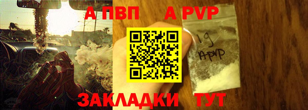 A PVP СК КРИС Великий Новгород