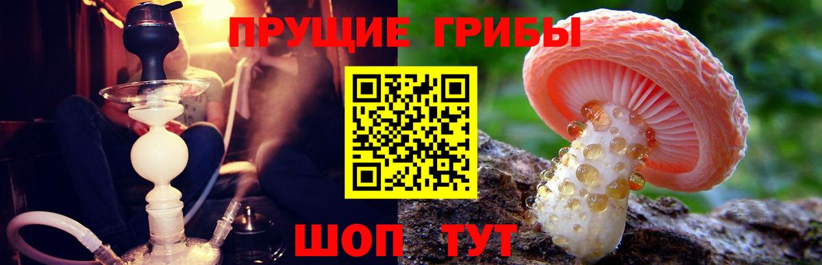 Галлюциногенные грибы мицелий  Вход с VPN  Великий Новгород 